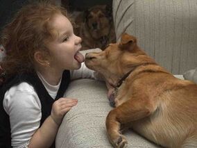 the child kissed the dog and was infected with parasites